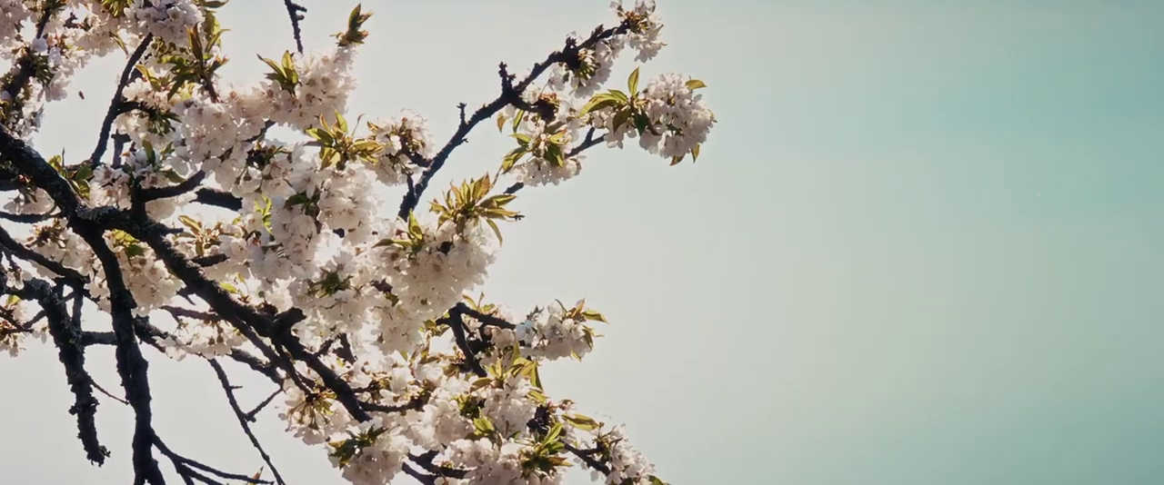 WeddingVideo
